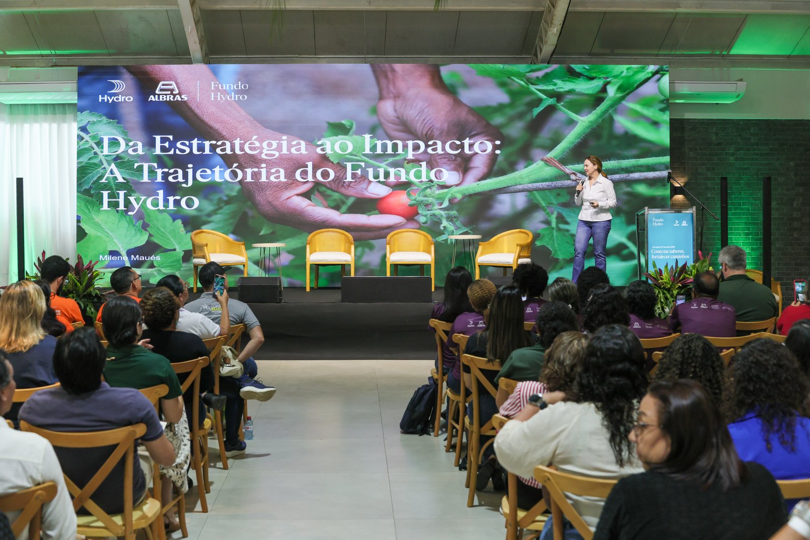 imagem galeria