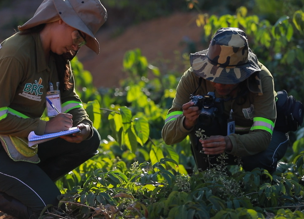 Consórcio BRC segue com inscrições abertas para edital de incentivo a projetos de pesquisa na Amazônia