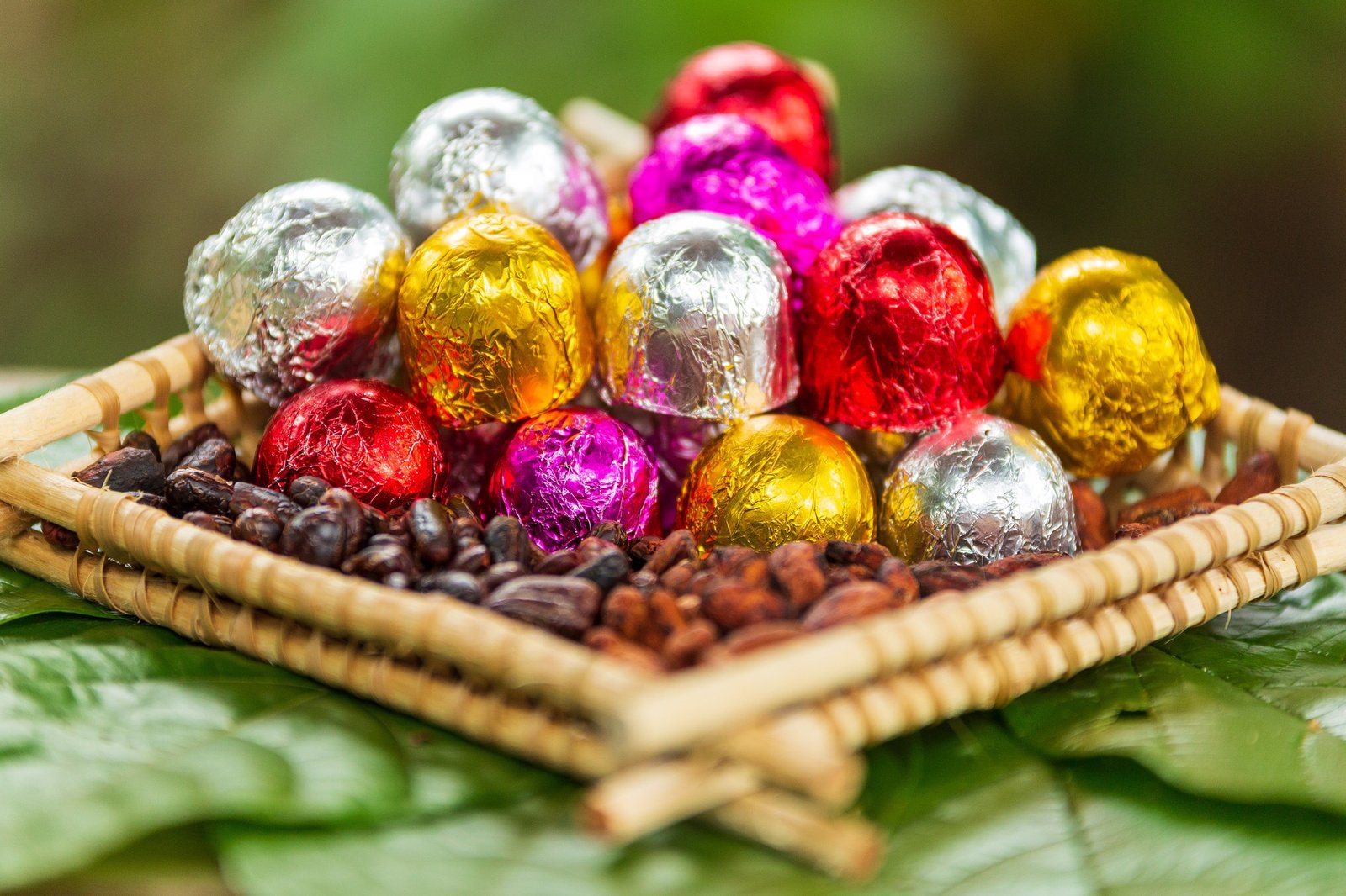 Chocolate é fonte de renda e desenvolvimento local com o apoio do Fundo de Sustentabilidade