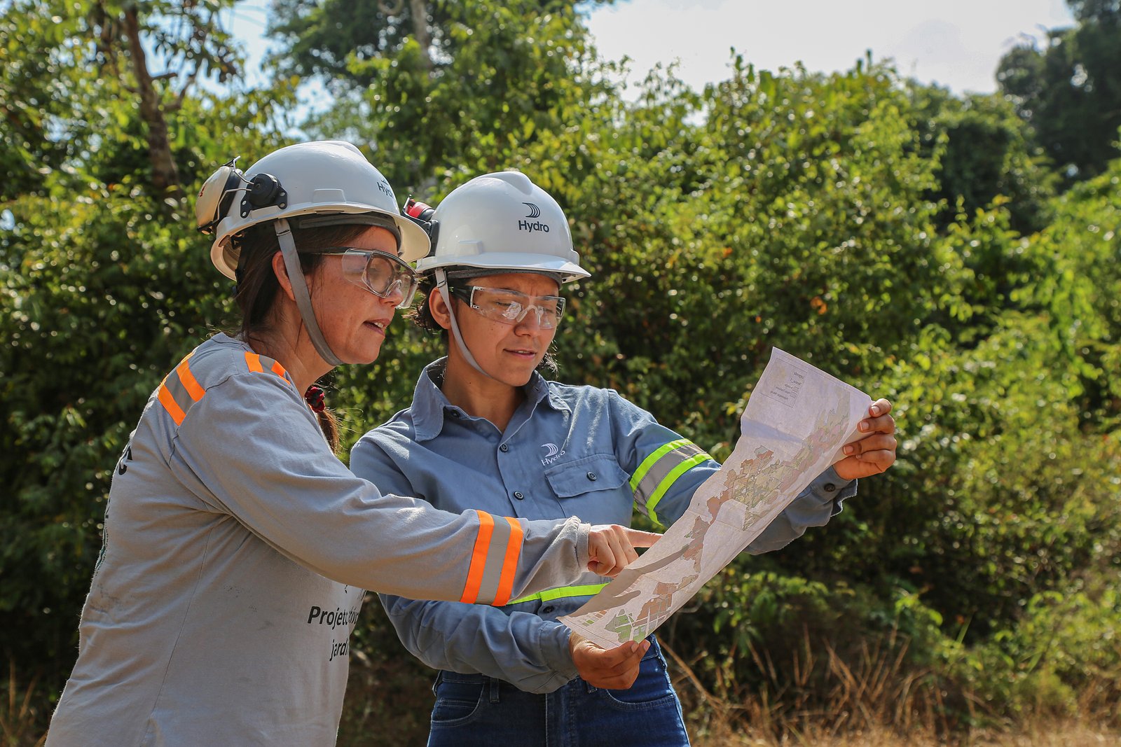 Consórcio de Pesquisa em Biodiversidade Brasil-Noruega anuncia resultado do Edital 2025